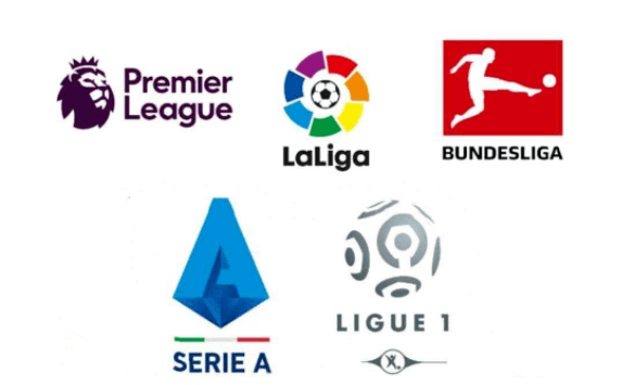 对于职业球 对于职业球